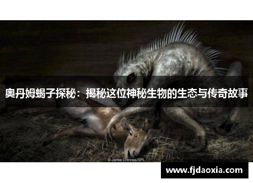 奥丹姆蝎子探秘：揭秘这位神秘生物的生态与传奇故事