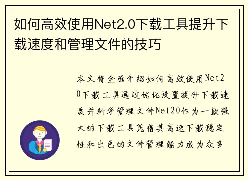 如何高效使用Net2.0下载工具提升下载速度和管理文件的技巧